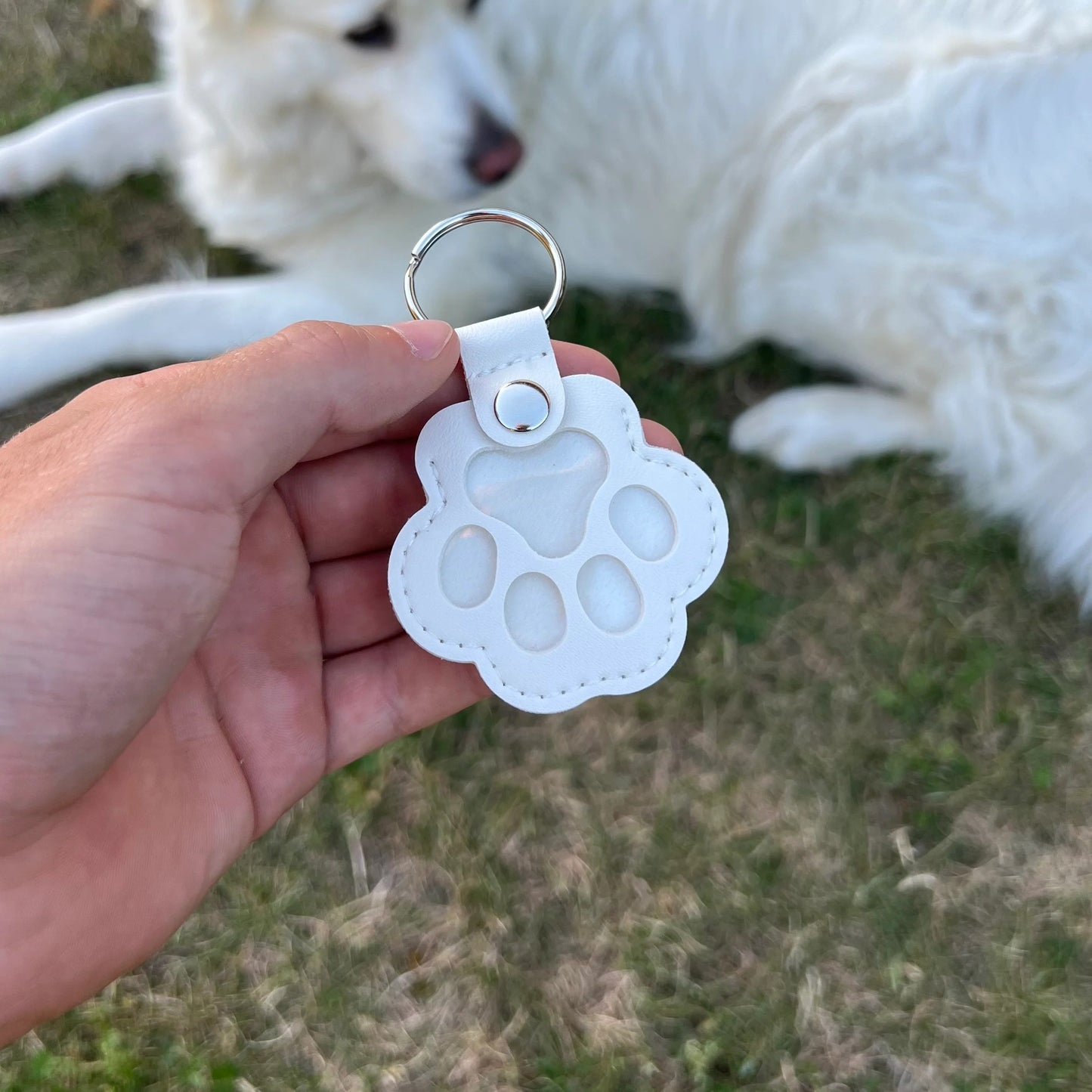 PawMemory™