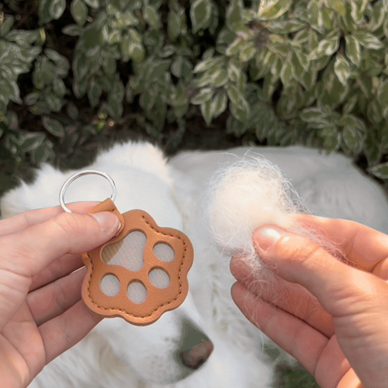 PawMemory™