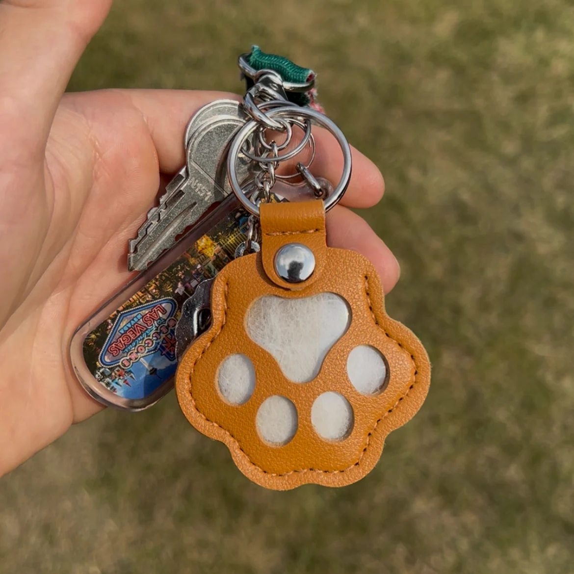 PawMemory™